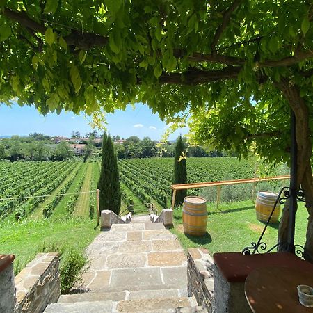 Villa Butussi - L'Ospitalita Del Vino Corno di Rosazzo Zewnętrze zdjęcie