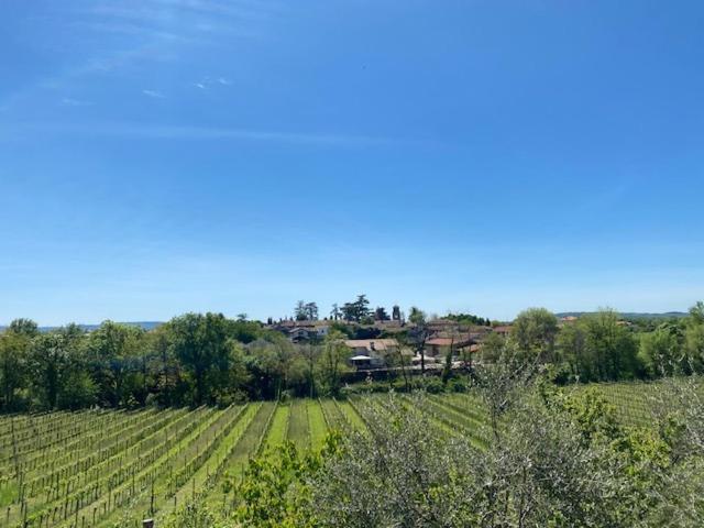 Villa Butussi - L'Ospitalita Del Vino Corno di Rosazzo Zewnętrze zdjęcie