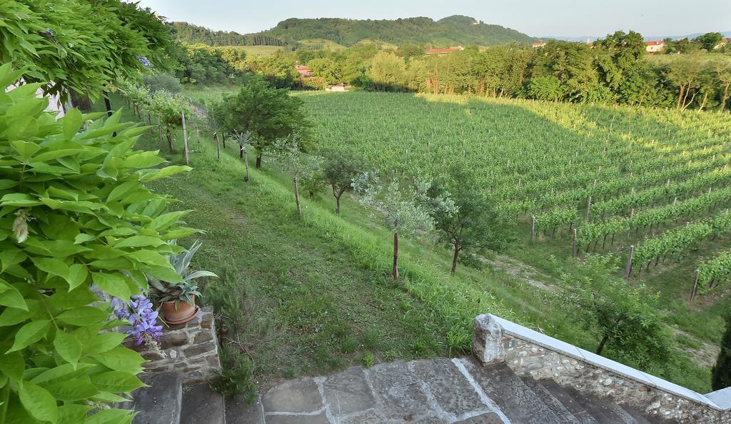 Villa Butussi - L'Ospitalita Del Vino Corno di Rosazzo Zewnętrze zdjęcie