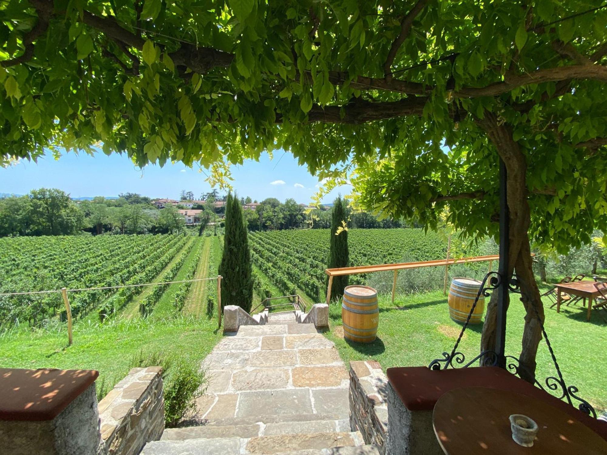 Villa Butussi - L'Ospitalita Del Vino Corno di Rosazzo Zewnętrze zdjęcie