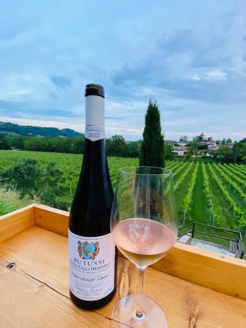 Villa Butussi - L'Ospitalita Del Vino Corno di Rosazzo Zewnętrze zdjęcie