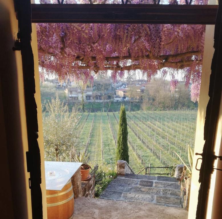Villa Butussi - L'Ospitalita Del Vino Corno di Rosazzo Zewnętrze zdjęcie